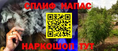 сатива Краснознаменск