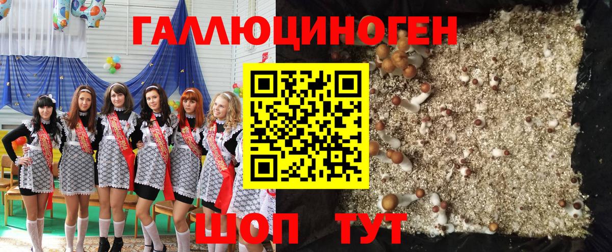 Киров  Псилоцибиновые грибы мицелий  Вход с VPN 